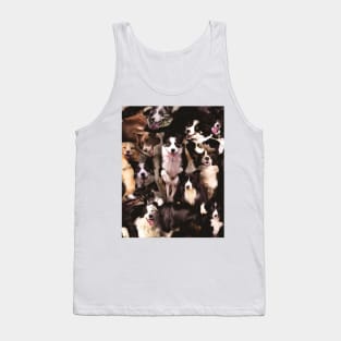 Border Collies Tank Top